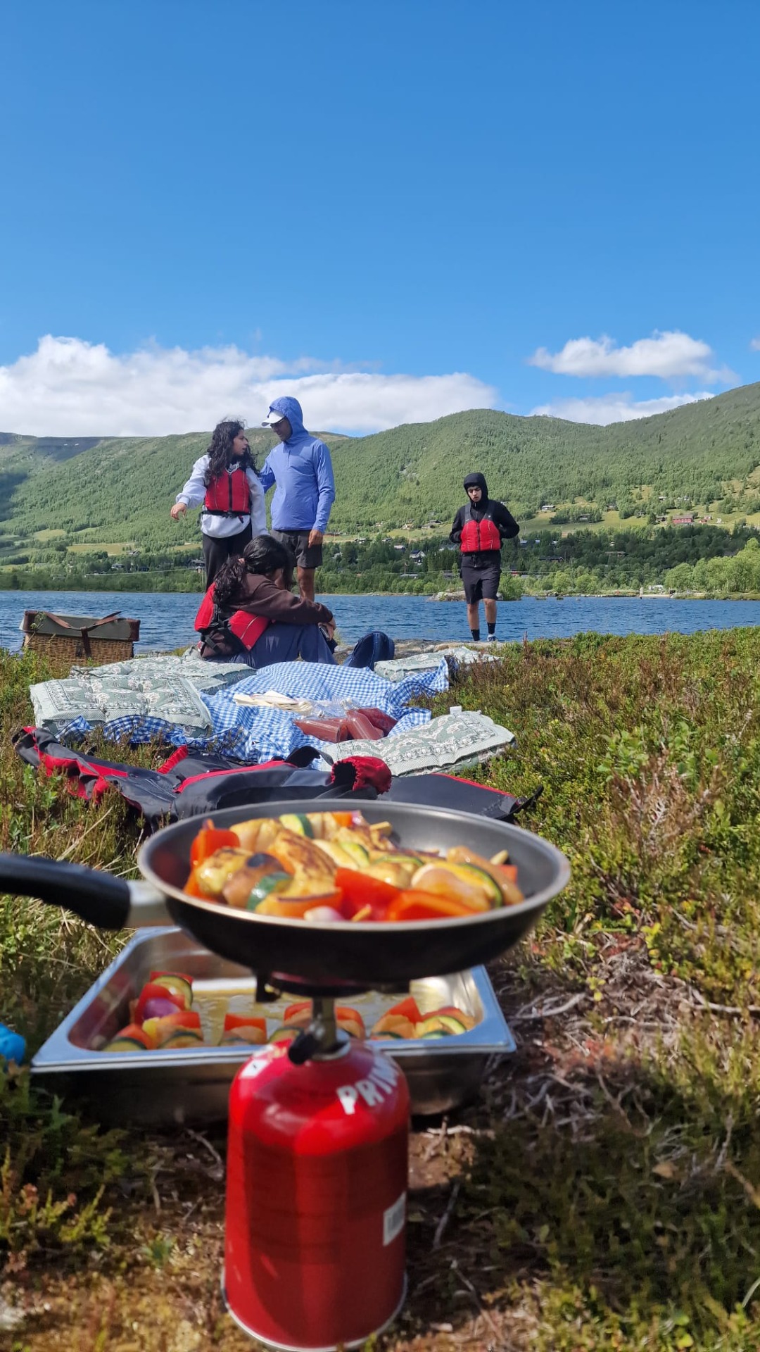 essen in Natur und Picknick in Geilo