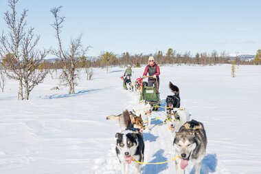 Hundeschlittenfahren in Norwegen